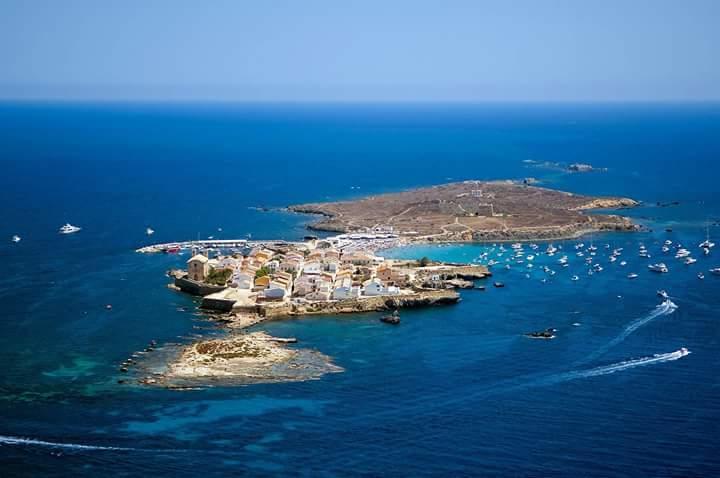 13 Rocafel 7 Playa Albufereta Αλικάντε Εξωτερικό φωτογραφία